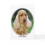 Cocker Spaniel 8M98D-08 cards