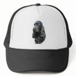 Cocker Spaniel 9T004D-206 hats