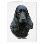Cocker Spaniel 9T004D-537 Greeting Card