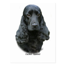 Cocker Spaniel 9T004D-537 Post Cards