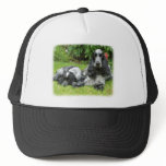 Cocker Spaniel and puppy 9W017D-067 hats
