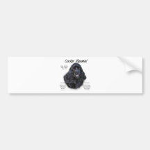 Cocker Spaniel (black) History Design Bumper Sticker