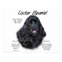 Cocker Spaniel (black) History Design Post Cards