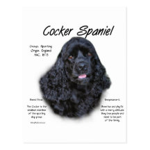 Cocker Spaniel (black) History Design Post Cards