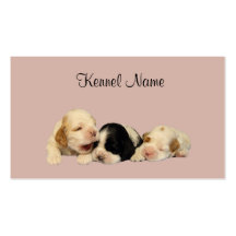 Cocker Spaniel Breeder Business Card
