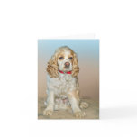 Cocker Spaniel