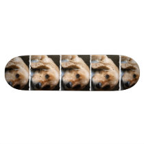 Cocker Spaniel Dog Skateboard