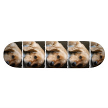 Cocker Spaniel Dog Skateboard