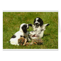Cocker Spaniel Fun Greeting Card
