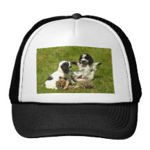Cocker Spaniel Fun Mesh Hats