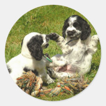 Cocker Spaniel Fun Sticker
