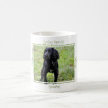 Cocker Spaniel Gundog Mugs