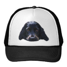 Cocker Spaniel Hat