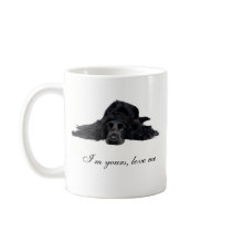 Cocker Spaniel Coffee Mugs