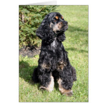 Cocker Spaniel Photo Greeting Card