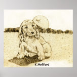 Cocker Spaniel posters