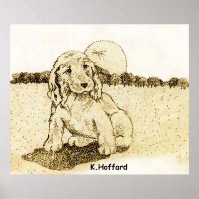 Cocker Spaniel Poster by Hoffard