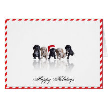 Cocker Spaniel Puppies in Santa Hat Christmas Card