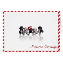 Cocker Spaniel Puppies in Santa Hat Christmas Card