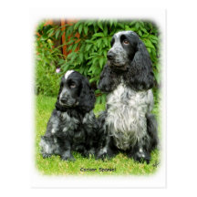 Cocker Spaniel & puppy 9W017D-068 Post Card
