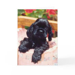 Cocker Spaniel puppy greeting card