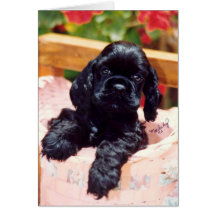 Cocker Spaniel puppy greeting card