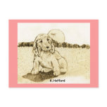 Cocker Spaniel Puppy postcards