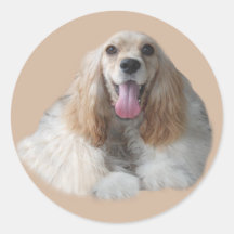 Cocker Spaniel Smiling Sticker