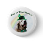 Cocker Spaniel Top of the Morn buttons