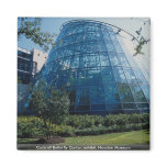 Cockrell Butterfly Center, exhibit, Houston Museum Magnet