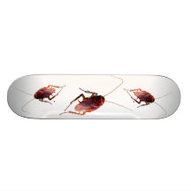 Cockroach Custom Skateboard