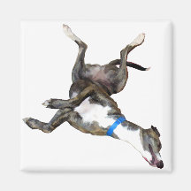 Cockroaching Refrigerator Magnets