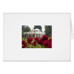 Cockscombs at Monticello cards