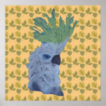 Cocky posters