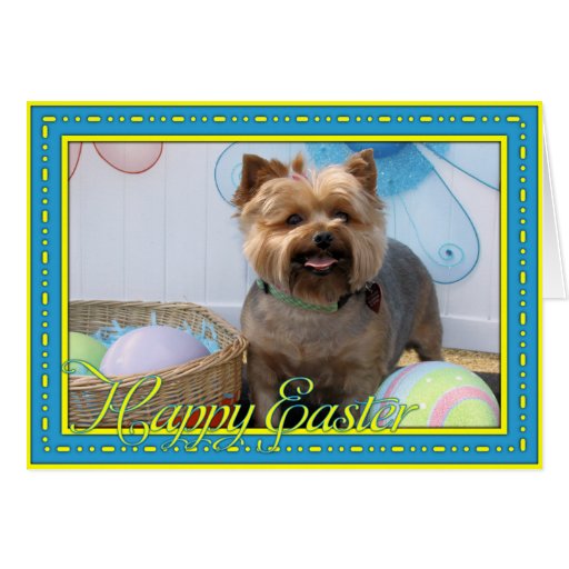  - coco_chanel_yorkie_4_greeting_card-r6b59f535fb4b4378968e2d37df22a838_xvuak_8byvr_512