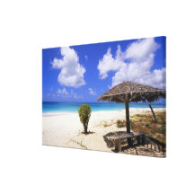 Coco Point Beach, Barbuda, Antigua Gallery Wrapped Canvas