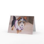 CoCo the Morkie Greeting Card