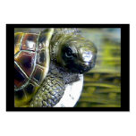 Cocoa Beach Fl Turtle Egg Art1 jGibney ACT-Open Ed Business Card Templates