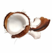 coconut400 photo sculpture