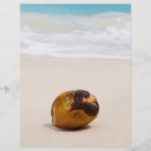 Coconut on a tropical beach flyer