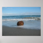 COCONUT ON THE BEACH (1) Poster