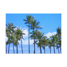 Coconut Palms Gallery Wrapped Canvas