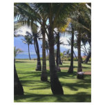 Coconut Palms Nui Hawaii flyers
