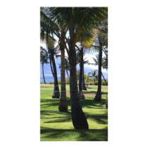 Coconut Palms Nui Hawaii Customized Photo Card