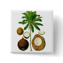 Coconut Tree Botanical Illustration Buttons