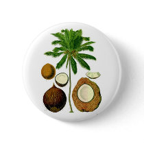 Coconut Tree Botanical Illustration Buttons