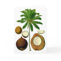 Coconut Tree Botanical Illustration Greeting Cards