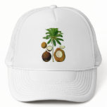 Coconut Tree Botanical Illustration hats