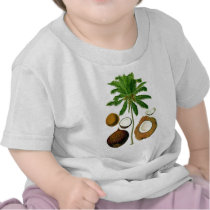 Coconut Tree Botanical Illustration Shirt