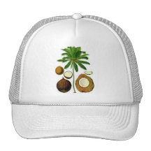Coconut Tree Botanical Illustration Trucker Hat